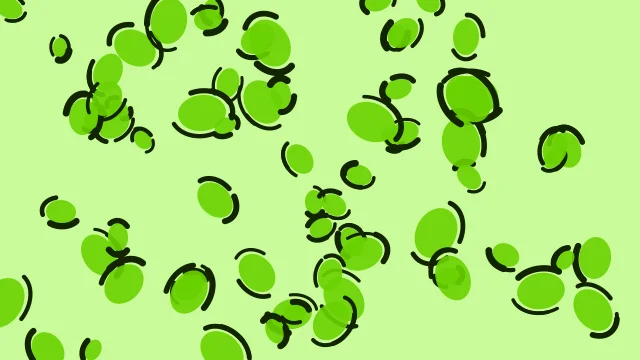 Lawn Green leopard print background — free HD lawn green color wallpaper 1920x1080