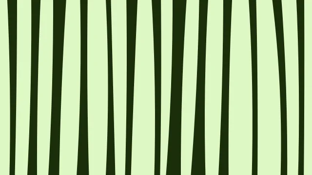Lawn Green zebra print background — free HD lawn green color wallpaper 1920x1080