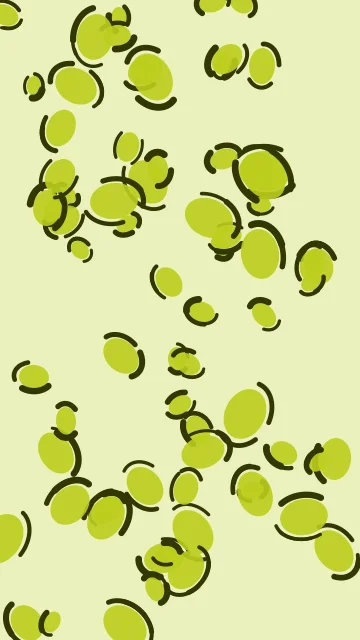 Lemon Lime leopard phone wallpaper — free HD lemon lime mobile wallpaper 1080x1920