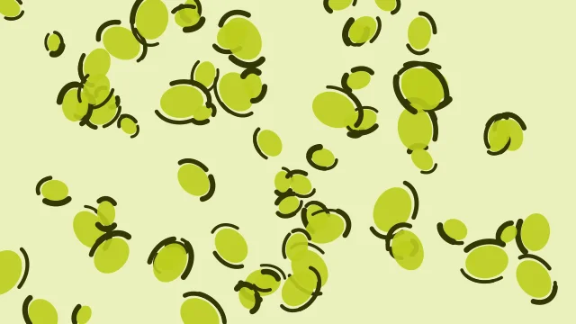 Lemon Lime leopard print background — free HD lemon lime color wallpaper 1920x1080