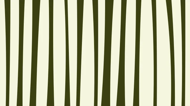 Lemon Lime zebra print background — free HD lemon lime color wallpaper 1920x1080