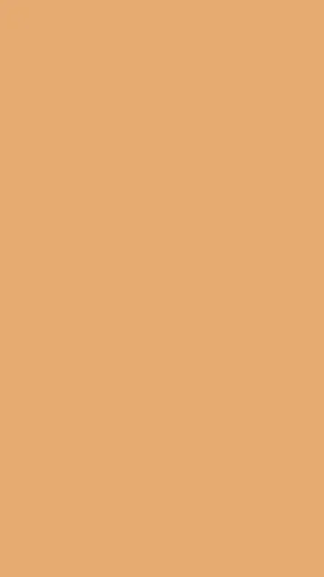 Light Caramel solid phone wallpaper — free HD light caramel mobile wallpaper 1080x1920