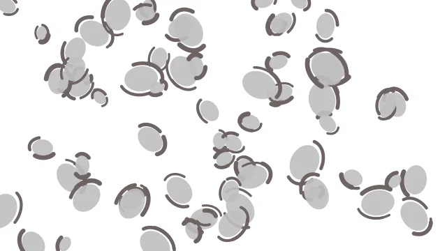 Light Gray leopard desktop wallpaper — free 4K light gray wallpaper 3840x2160