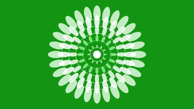 Light Green mandala background — free HD light green color wallpaper 1920x1080