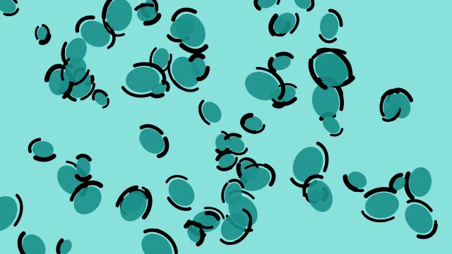 Light Sea Green leopard print background — free HD light sea green color wallpaper 1920x1080