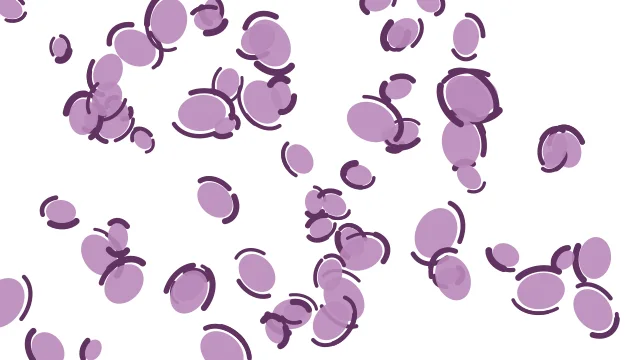 Lilac leopard print background — free HD lilac color wallpaper 1920x1080