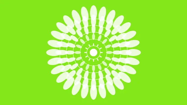 Lime 100 mandala background — free HD lime 100 color wallpaper 1920x1080