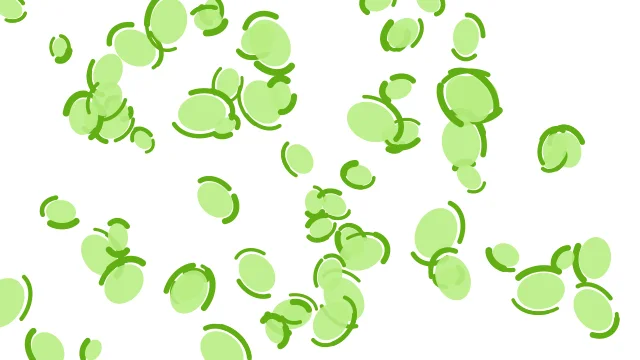 Lime 200 leopard print background — free HD lime 200 color wallpaper 1920x1080