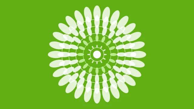 Lime 200 mandala background — free HD lime 200 color wallpaper 1920x1080