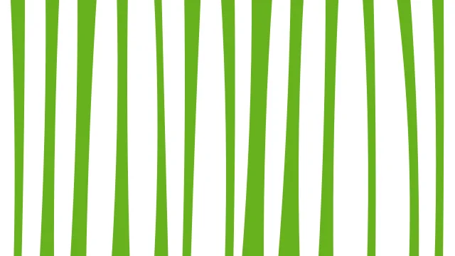 Lime 200 zebra print background — free HD lime 200 color wallpaper 1920x1080