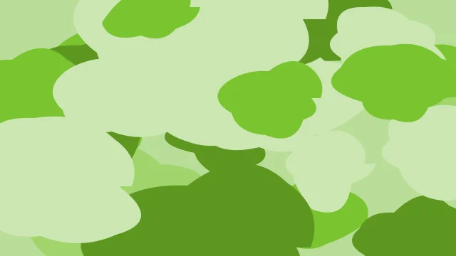 Lime 300 camo background — free HD lime 300 color wallpaper 1920x1080