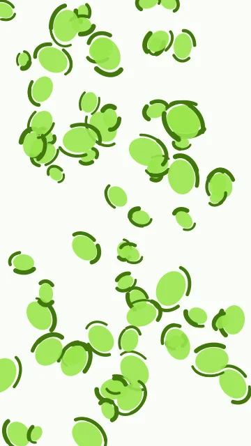 Lime 300 leopard phone wallpaper — free HD lime 300 mobile wallpaper 1080x1920