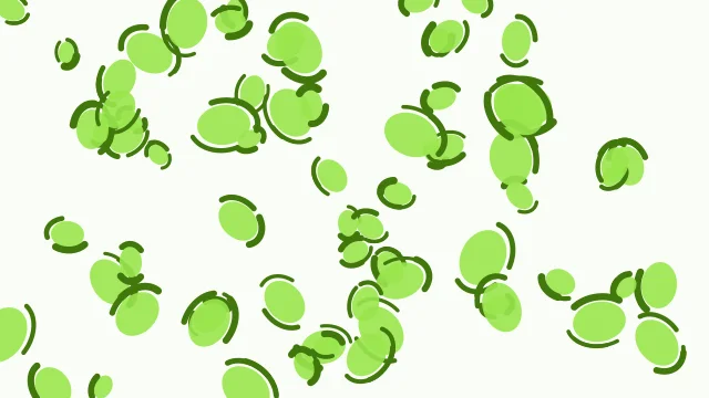 Lime 300 leopard print background — free HD lime 300 color wallpaper 1920x1080
