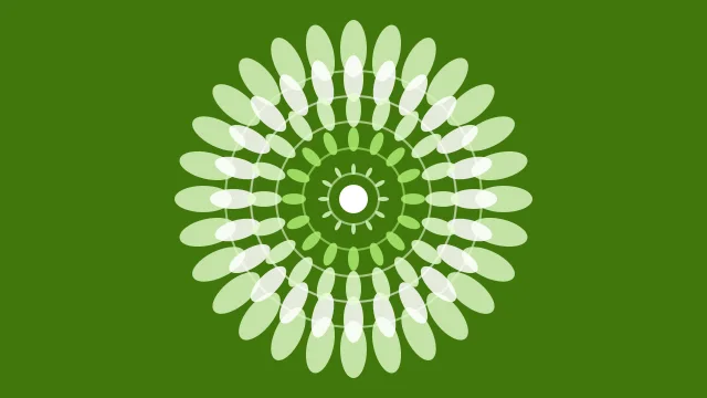 Lime 300 mandala background — free HD lime 300 color wallpaper 1920x1080