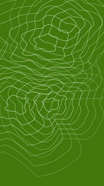 Lime 300 topographic phone wallpaper — free HD lime 300 mobile wallpaper 1080x1920