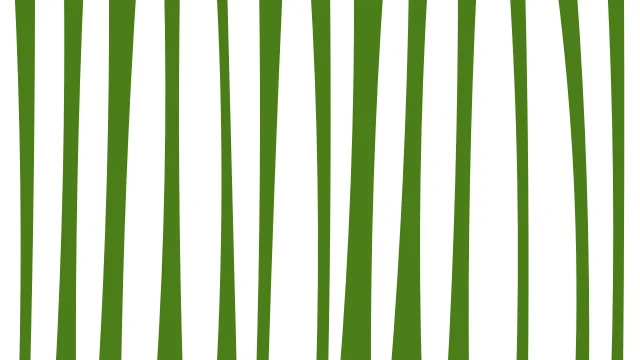Lime 300 zebra print background — free HD lime 300 color wallpaper 1920x1080