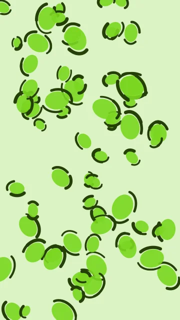 Lime 400 leopard phone wallpaper — free HD lime 400 mobile wallpaper 1080x1920