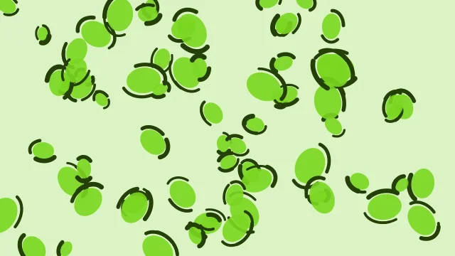 Lime 400 leopard print background — free HD lime 400 color wallpaper 1920x1080