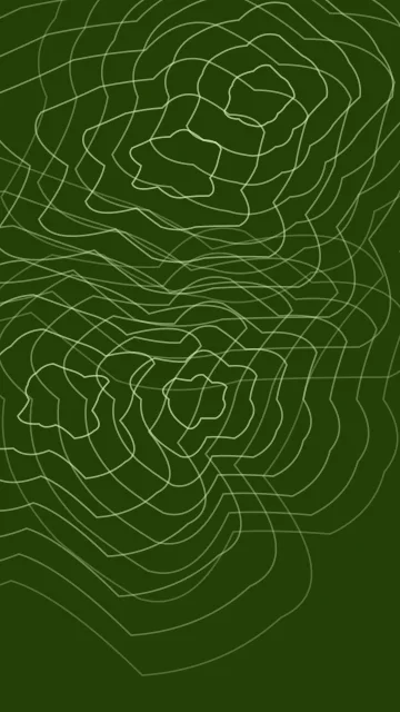 Lime 400 topographic phone wallpaper — free HD lime 400 mobile wallpaper 1080x1920
