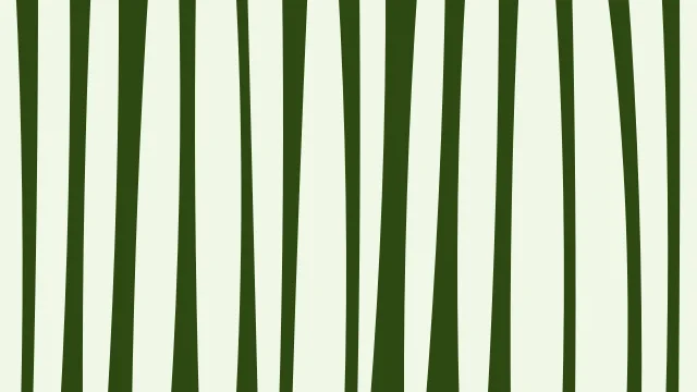 Lime 400 zebra print background — free HD lime 400 color wallpaper 1920x1080