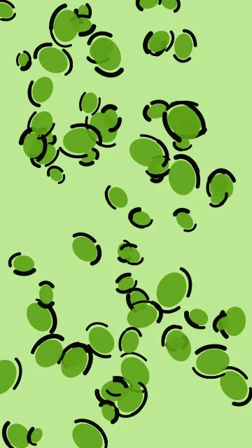 Lime 500 leopard phone wallpaper — free HD lime 500 mobile wallpaper 1080x1920