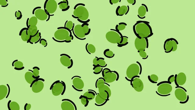 Lime 500 leopard print background — free HD lime 500 color wallpaper 1920x1080
