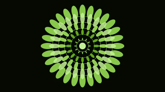 Lime 500 mandala background — free HD lime 500 color wallpaper 1920x1080