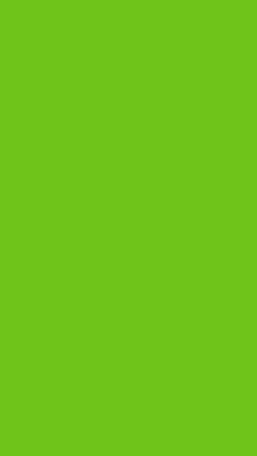 Lime 500 solid phone wallpaper — free HD lime 500 mobile wallpaper 1080x1920