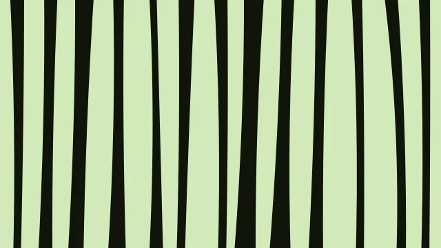 Lime 500 zebra print background — free HD lime 500 color wallpaper 1920x1080