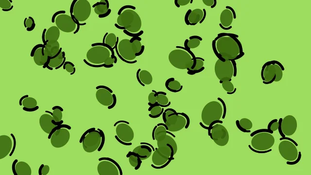 Lime 600 leopard print background — free HD lime 600 color wallpaper 1920x1080