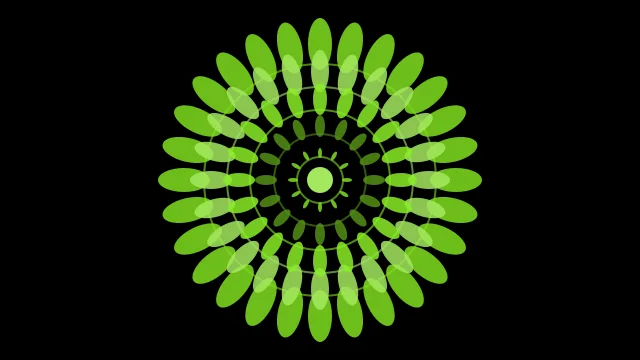 Lime 600 mandala background — free HD lime 600 color wallpaper 1920x1080