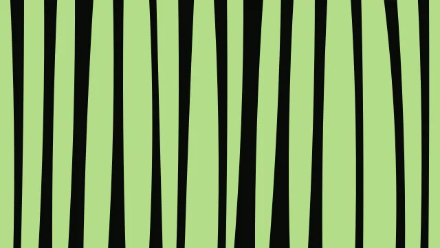 Lime 600 zebra print background — free HD lime 600 color wallpaper 1920x1080