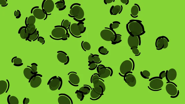 Lime 700 leopard print background — free HD lime 700 color wallpaper 1920x1080