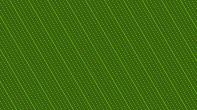Lime 700 pinstripe background — free HD lime 700 color wallpaper 1920x1080