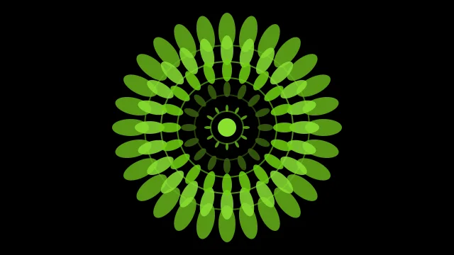 Lime 700 mandala background — free HD lime 700 color wallpaper 1920x1080
