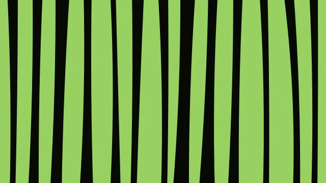 Lime 700 zebra print background — free HD lime 700 color wallpaper 1920x1080