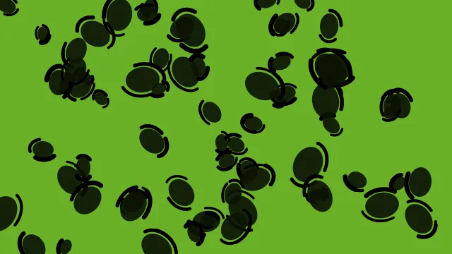 Lime 800 leopard print background — free HD lime 800 color wallpaper 1920x1080