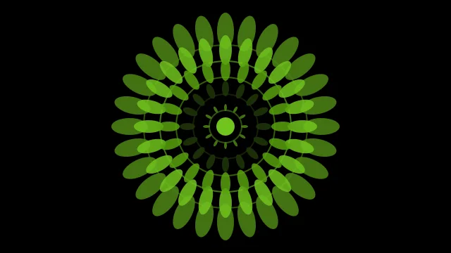 Lime 800 mandala background — free HD lime 800 color wallpaper 1920x1080
