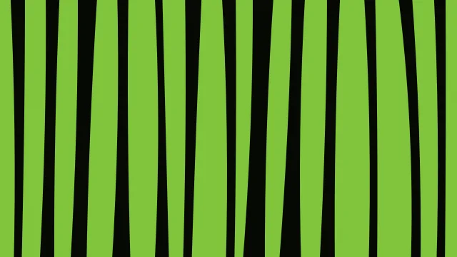 Lime 800 zebra print background — free HD lime 800 color wallpaper 1920x1080