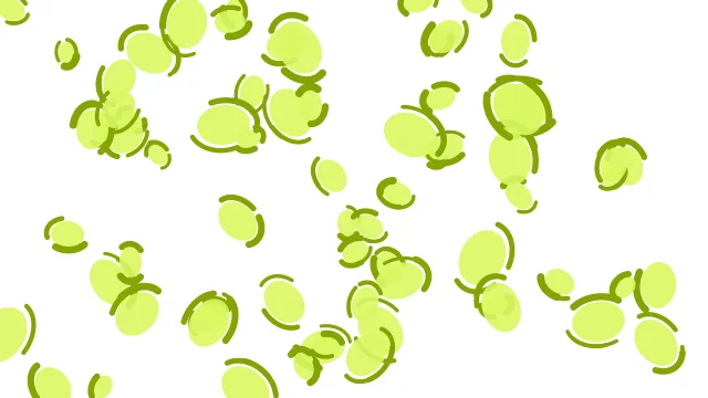 Lime Cream leopard print background — free HD lime cream color wallpaper 1920x1080