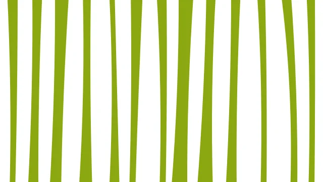 Lime Cream zebra print background — free HD lime cream color wallpaper 1920x1080
