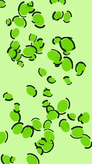 Lime Flash leopard phone wallpaper — free HD lime flash mobile wallpaper 1080x1920