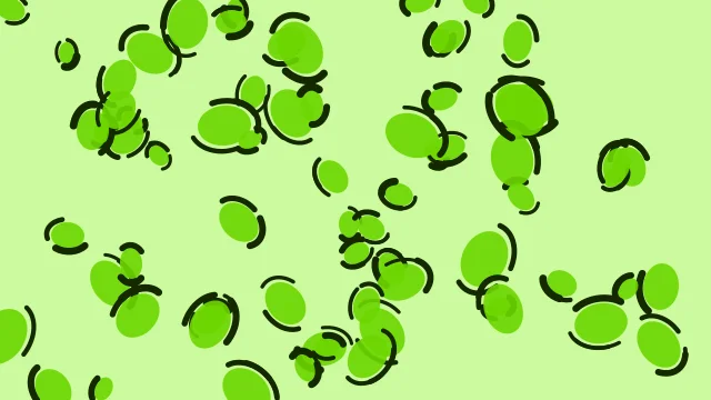 Lime Flash leopard print background — free HD lime flash color wallpaper 1920x1080