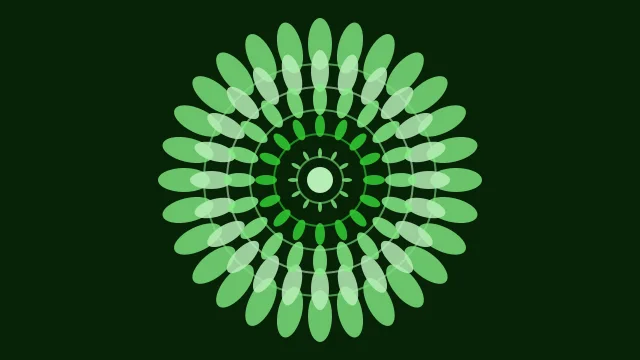 Lime Green mandala background — free HD lime green color wallpaper 1920x1080