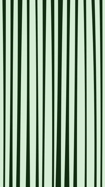 Lime Green zebra phone wallpaper — free HD lime green mobile wallpaper 1080x1920