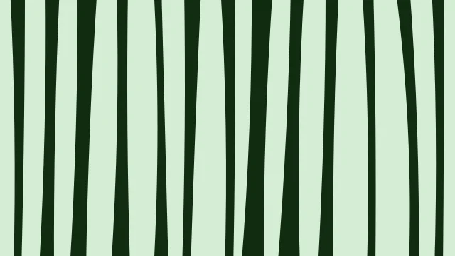 Lime Green zebra print background — free HD lime green color wallpaper 1920x1080