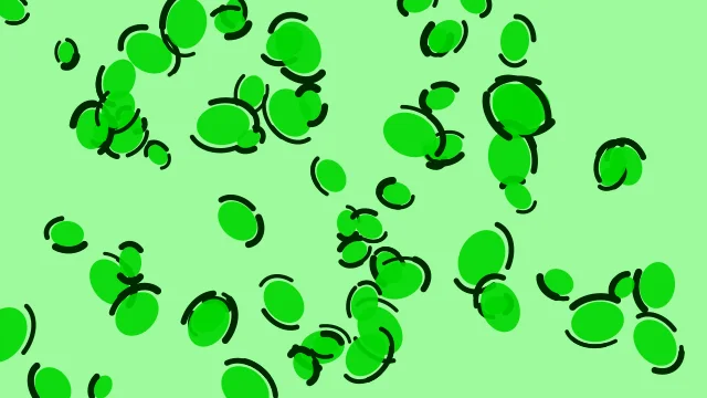 Lime leopard print background — free HD lime color wallpaper 1920x1080