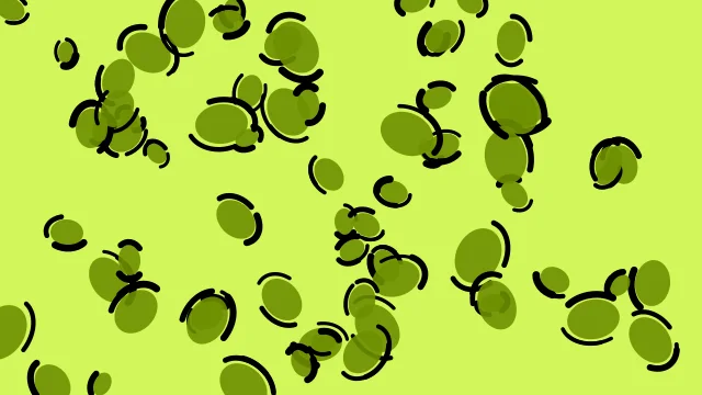 Lime Moss leopard print background — free HD lime moss color wallpaper 1920x1080