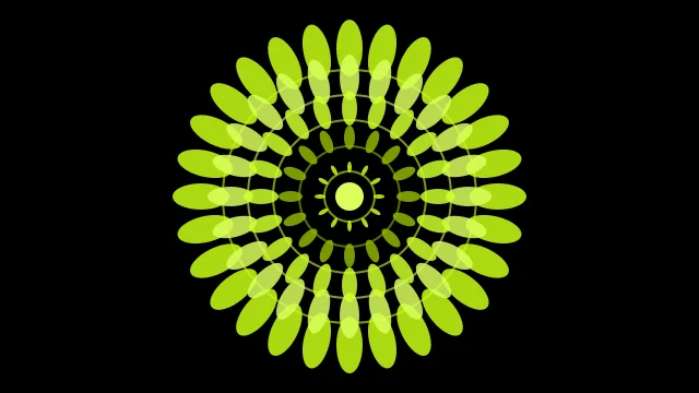 Lime Moss mandala background — free HD lime moss color wallpaper 1920x1080