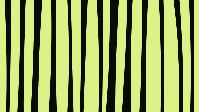 Lime Moss zebra print background — free HD lime moss color wallpaper 1920x1080